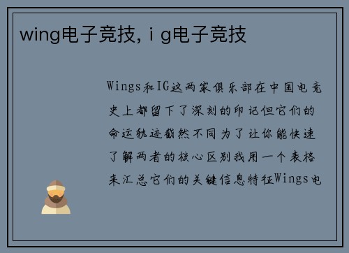 wing电子竞技,ⅰg电子竞技